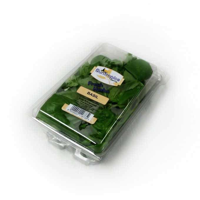 Basil Packet