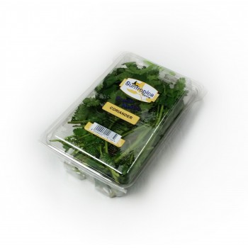 Coriander Packet