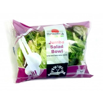 Harvest Fresh Jumbo Salad Bowl