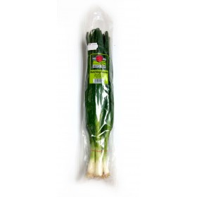 Harvest Fresh Spring Onion 