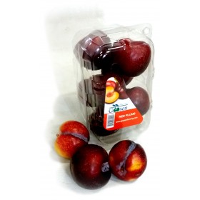 Goosen Red Plum Punnet