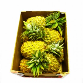 Queen Pineapple 8x Box