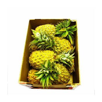 Queen Pineapple 8x Box