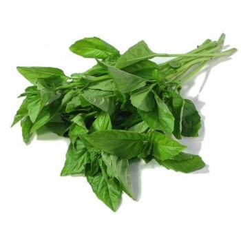 Basil Packet