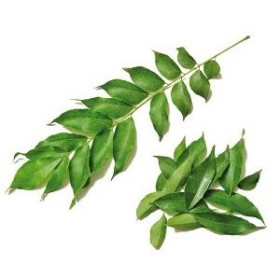 Curry Leaves Packet