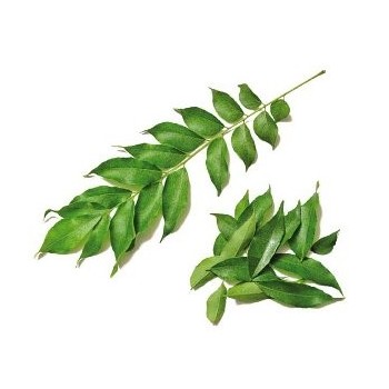 Curry Leaves Packet