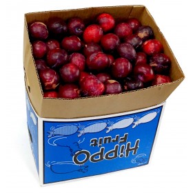 Fortune Red Plums Jumble Box