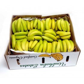 Banana Bulk Boxes 18Kg Umbhaba Estates