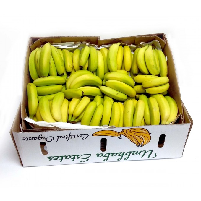 Banana Bulk Boxes 18Kg Umbhaba Estates