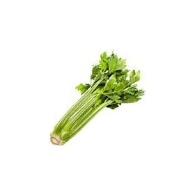 Table Celery