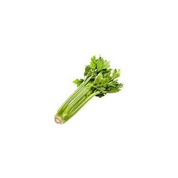 Table Celery