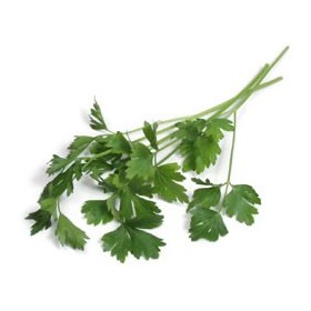 Itallian Parsley Packet