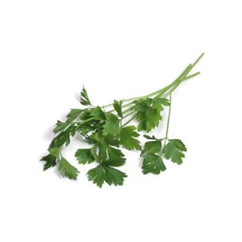 Itallian Parsley Packet