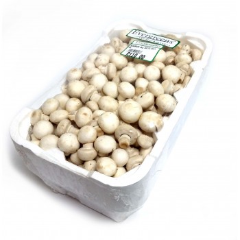 Bulk Mushrooms White 2 kg