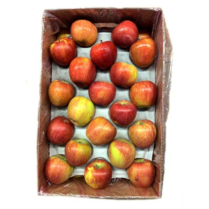 Tru Cape Royal Gala Red Apples x90 Packed Box Tru Cape Royal Gala Red Apples x90 Packed Box
