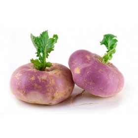 Turnips Large 10kg Bag