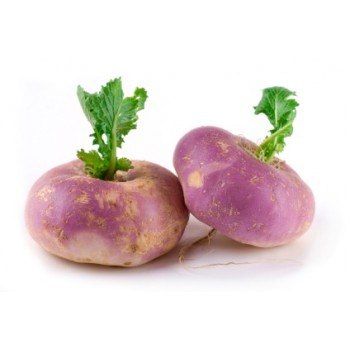 Turnips Large 10kg Bag