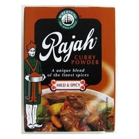 Robertsons 100g Rajah Medium Spicy Curry