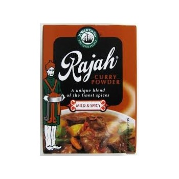 Robertsons 100g Rajah Medium Spicy Curry