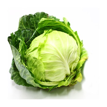 Green Cabbage Each