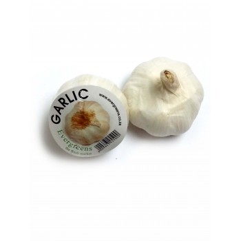 Garlic Each