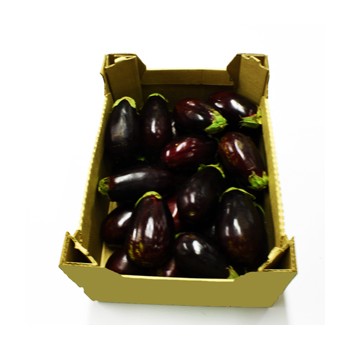 Brinjal Box 