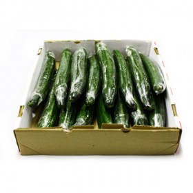English Cucumber Large 15 x Box