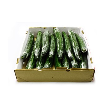 English Cucumber Large 15 x Box