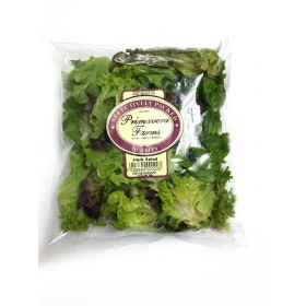 Primavera Herb Salad Pillow pkt