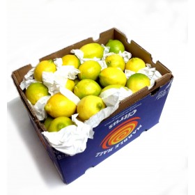 Lemons Export Quality x64 Big Box