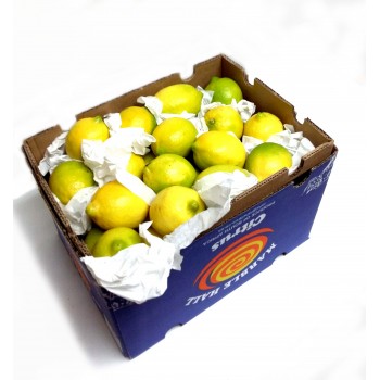 Lemons Export Quality x64 Big Box