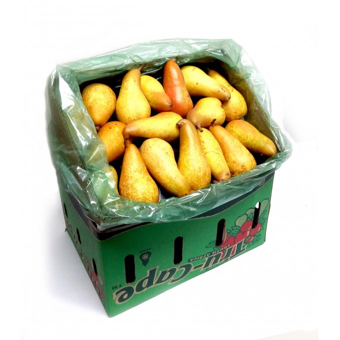 Tru Cape Abata Fetel Packed Pears x52 Box