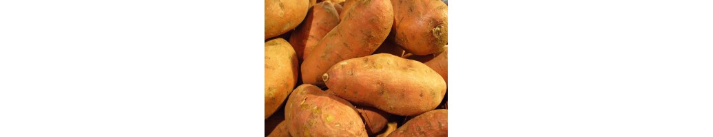 Sweet Potatoes