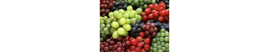 Grapes