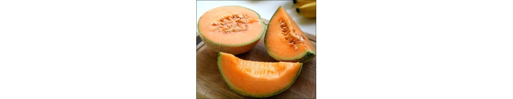 Sweet Melon