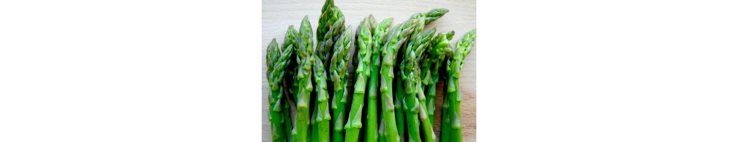 Asparagus