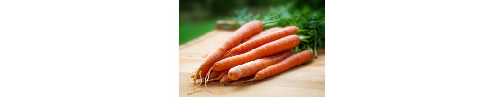 Carrots