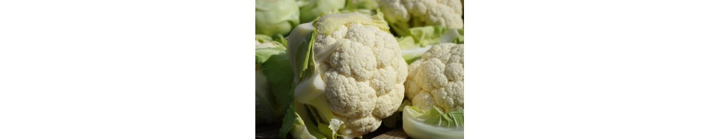 Cauliflower