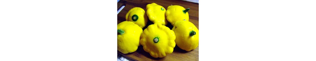 Patty Pans