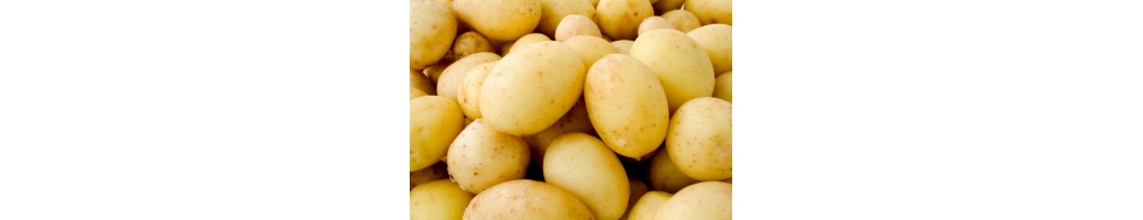 Potatoes