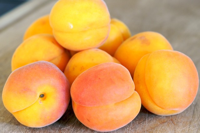 Apricot