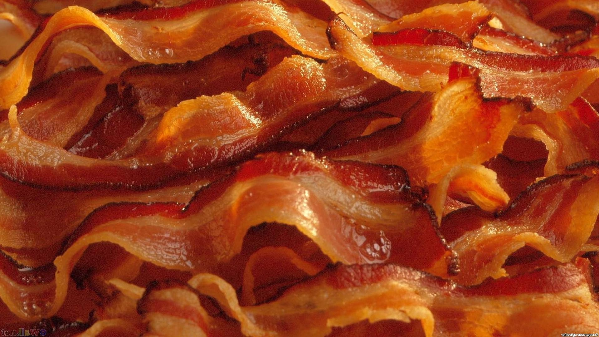 Bacon