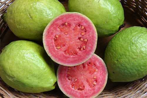 Guava