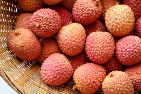 Litchi