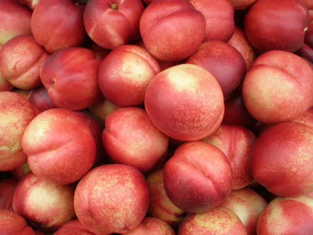 Nectarines