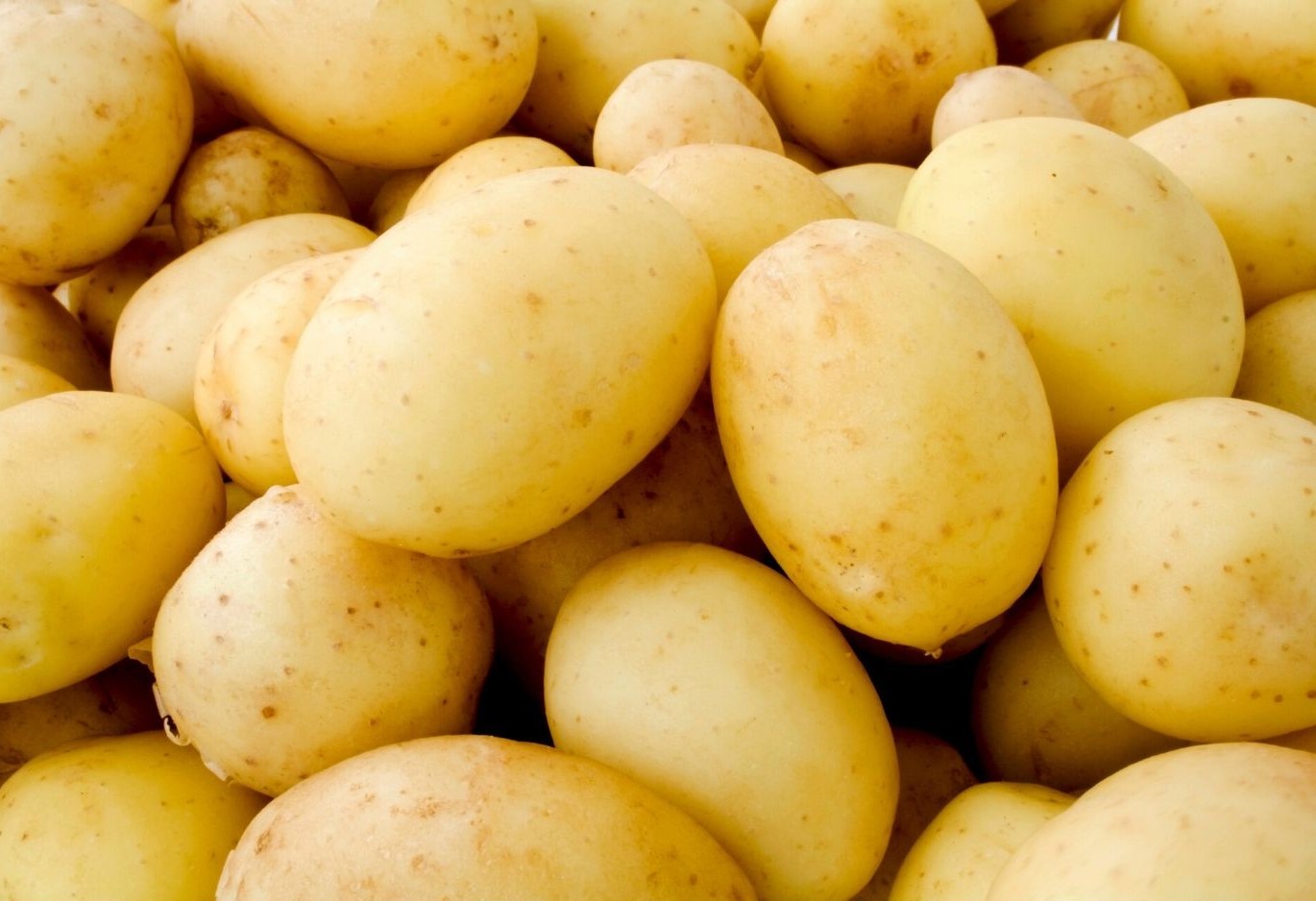 Potatoes